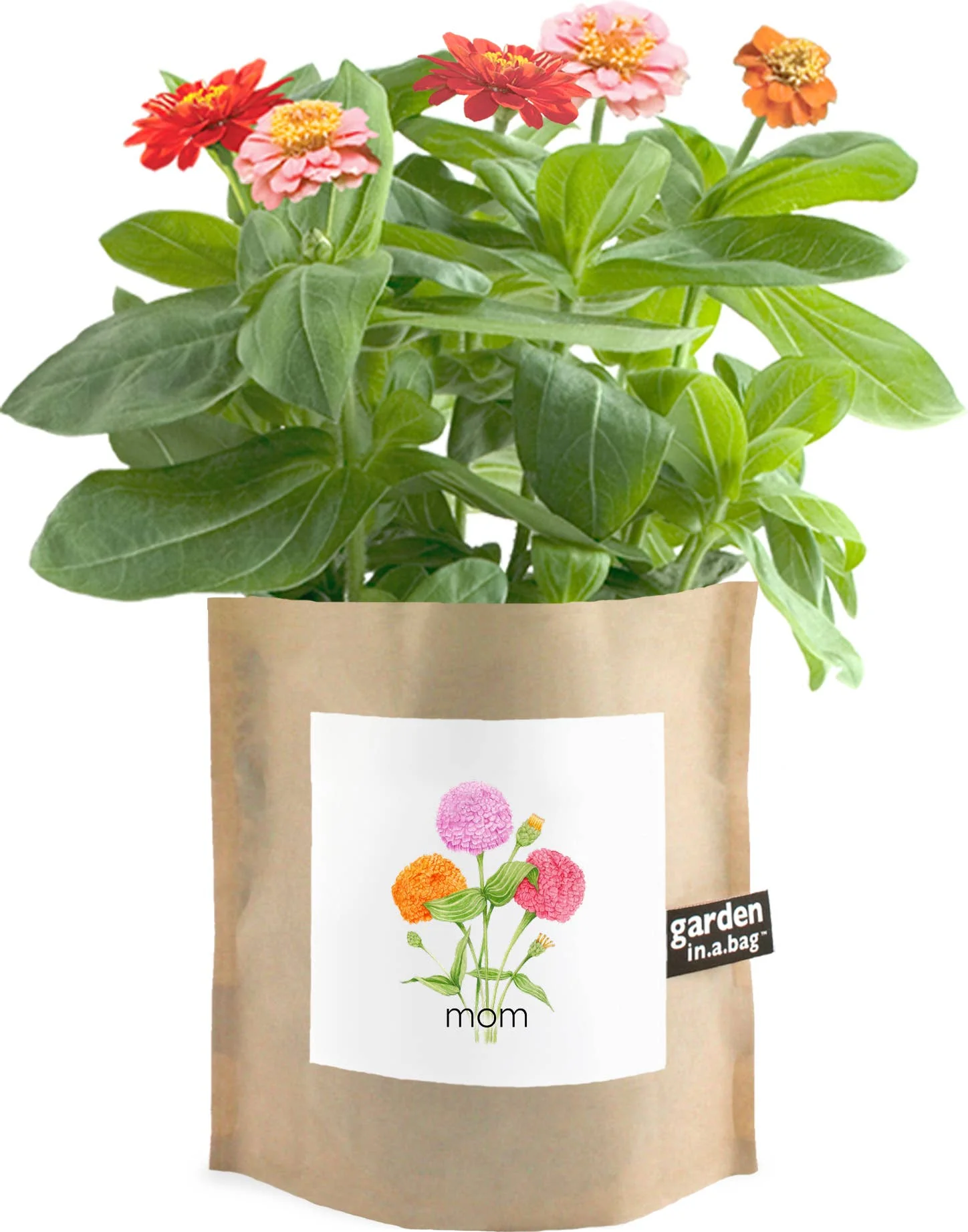 Garden in A Bag | Mom - Image 3