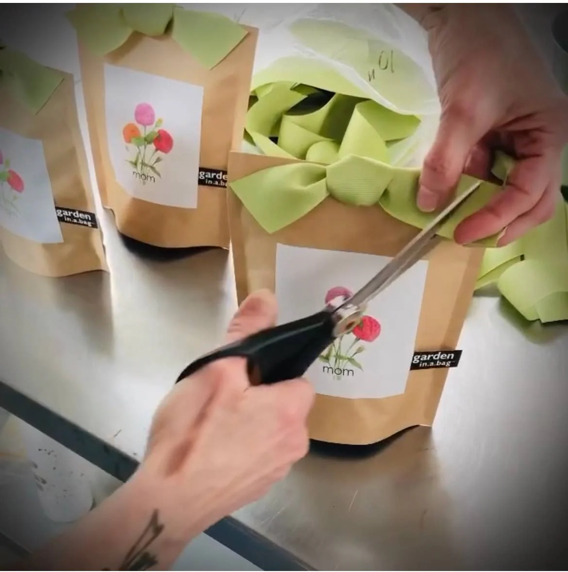 Garden in A Bag | Mom - Image 4