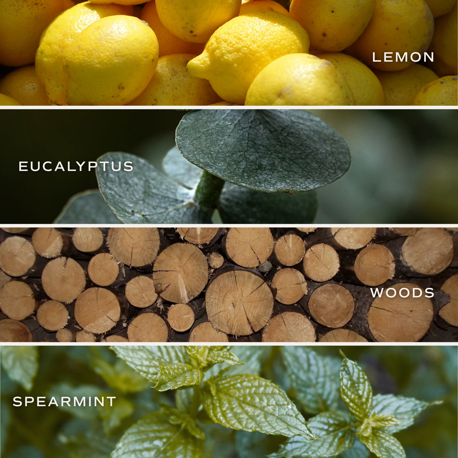 Bath Bomb: Stress Relief - Image 5