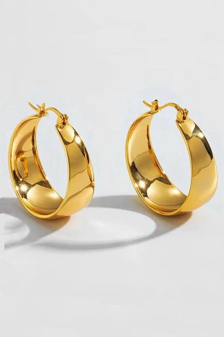 Stainless Steel Hoops - Image 3