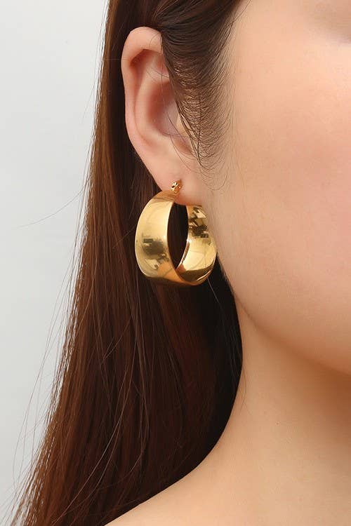 Stainless Steel Hoops - Image 5